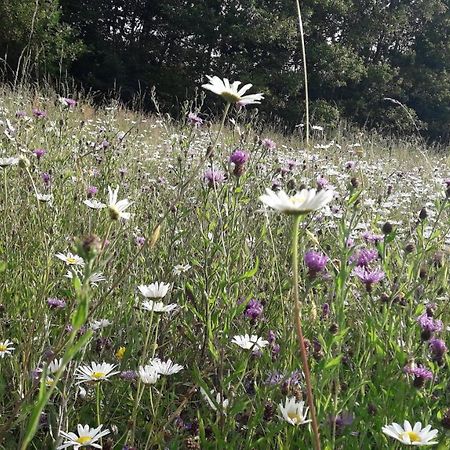 BonneFontaine, Meublés de tourisme Appartamento Rimogne Esterno foto